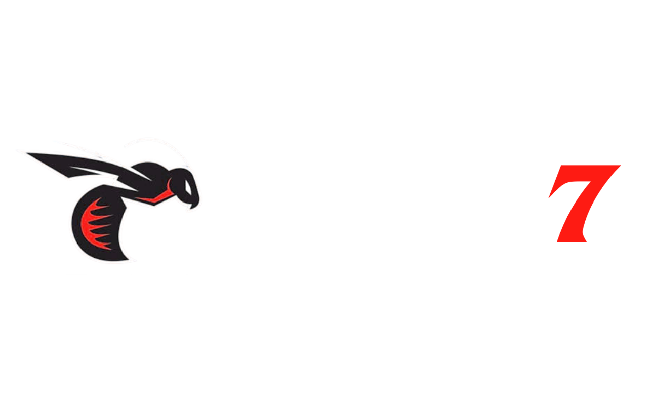 wasp7.org